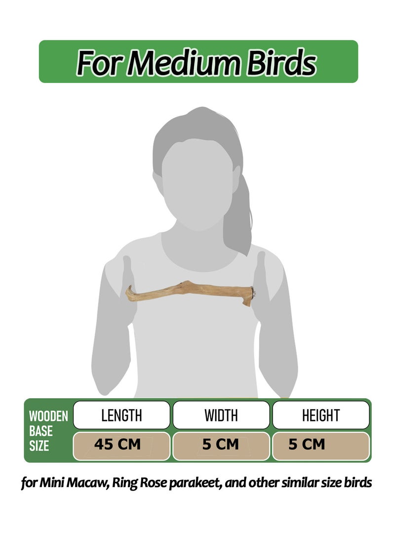 CHEWY BEAK Birds Stand Java wood Medium Parrots Ringed Rose Mini Macaw Rosella Wooden Perch Natural Indonesian Wooden Tree branch Cage Accessories stick - Image 2