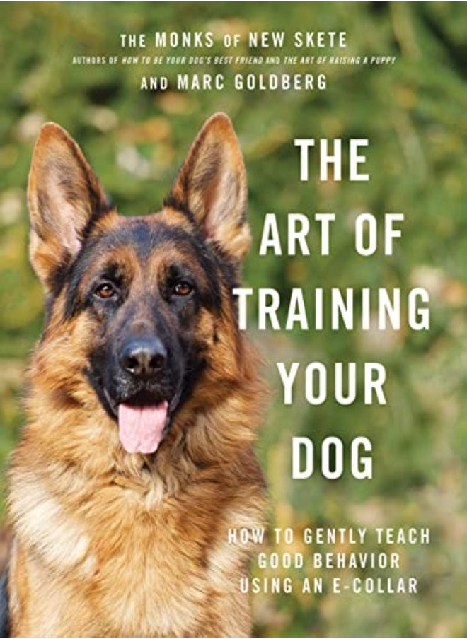ART OF TRAINING YOUR DOG 
