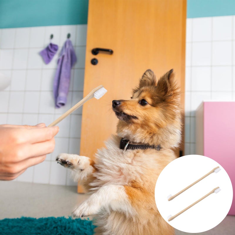 Double Ended Pet Toothbrush For Dogs And Cats 2 Pack Soft Bristle Eco Friendly Dental Care - Image 4