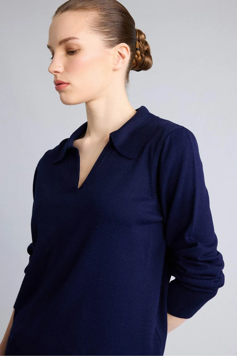 Defacto Regular Fit Polo Collar Pullover