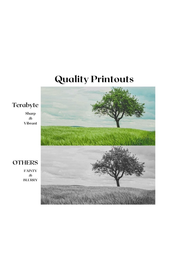 Terabyte TONER CARTRIDGE TN3130/TN3145/TN3170/TN550/TN580 BLACK - Image 4