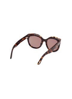 Women's Cat Eye Shape Acetate Sunglasses FT111452E54 Lens Size: 54 Millimeter - Dark Havana - pzsku/ZEEA23B5DF58519811AC5Z/45/_/1727713537/85616add-3157-42e6-8a70-15580c01df09