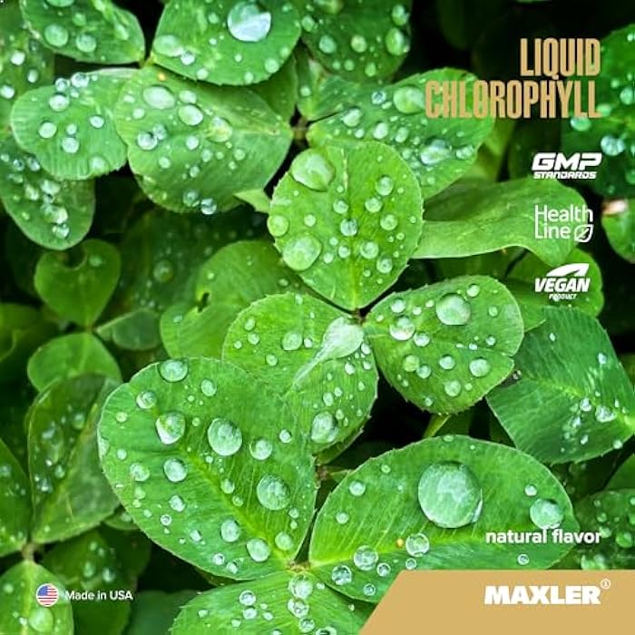 Maxler Liquid Chlorophyll Natural Flavor - Internal Deodorant for Body Odor & Bad Breath Supplement - Vegan Liquid Chlorophyll - 132 mg of Chlorophyllin per 1 Serving (15 Servings) - 15.2 fl oz - Image 2