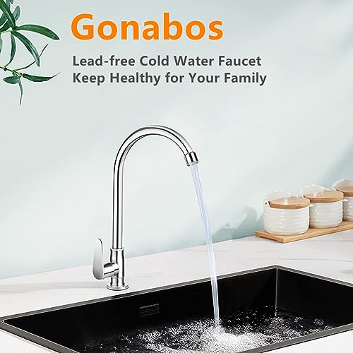 Gonabos Brushed Nickel Cold Water Faucet Only,SUS304 Stainless Steel Cold Water Kitchen Faucet Single Handle Single Hole Cold Water Faucet for Kitchen,Outdoor, Garden and Bar with Hose and Longer Thread Pipe - Image 3