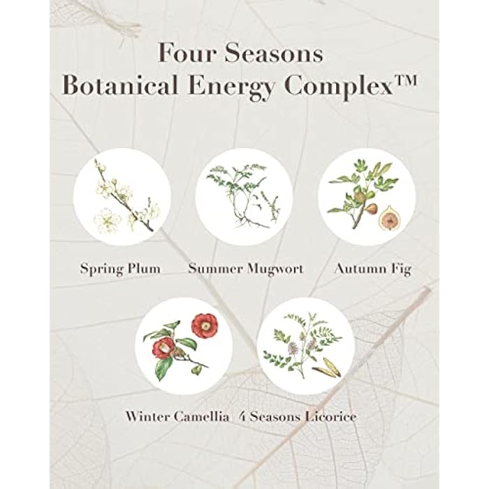 Sooryehan THE SAGA OF SOO Botanical Energy Multi Stick (10 g / 0.35 Fl Oz) - Skin Care Balm by LG BEAUTY. Sensitive Skin. - Image 3