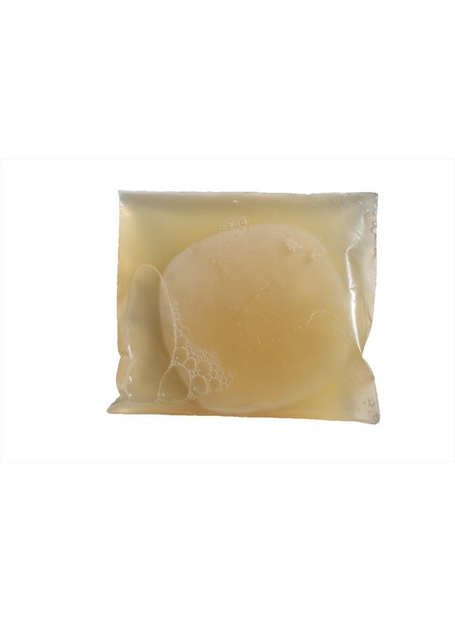 Scoby Kombucha FBA_LEPAZC5747 1 X Organic Kombucha Scoby-Live Culture - Image 4