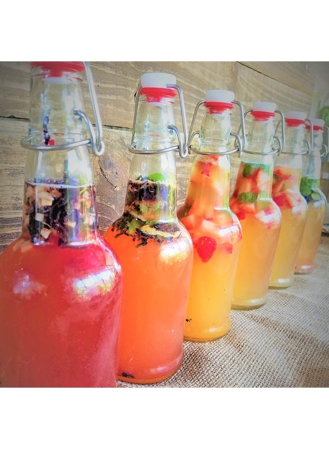 Scoby Kombucha FBA_LEPAZC5747 1 X Organic Kombucha Scoby-Live Culture - Image 3