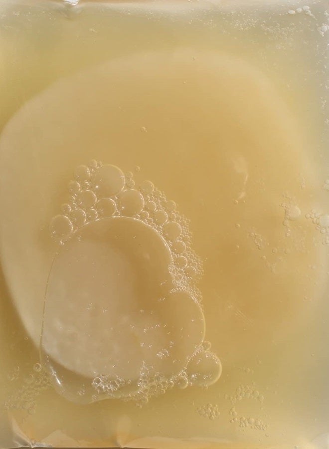 Scoby Kombucha FBA_LEPAZC5747 1 X Organic Kombucha Scoby-Live Culture - Image 2