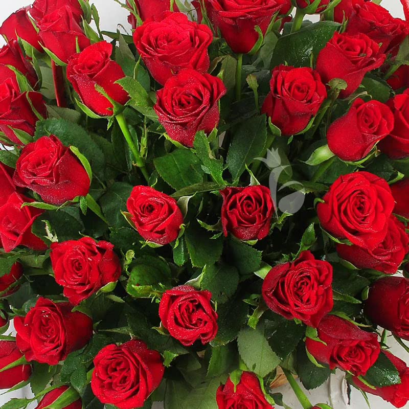 FlowerAura Fresh Live Flower Bouquet of 100 Red Roses Flowers In Basket For Birthday Gift Anniversary Gift Wedding Gift Congratulations Gift Gift For Special Occasions Same Day Delivery - Image 2