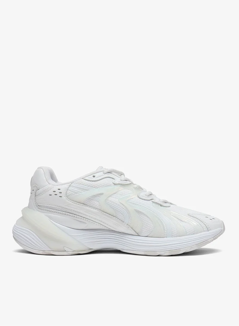 بوما صدى معكوس