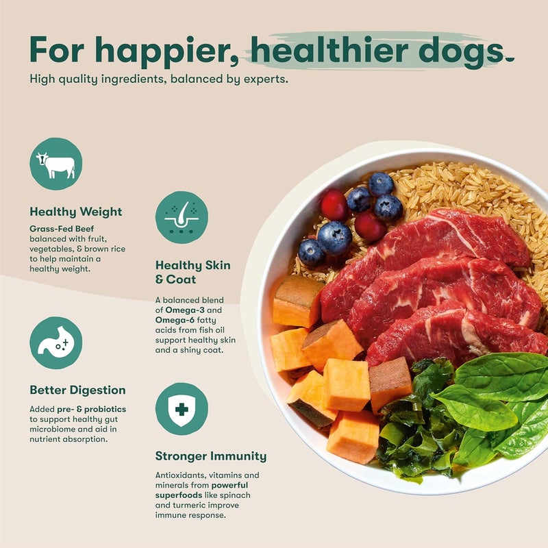 Jinx Premium Dry Dog Food, Real Beef, Brown Rice & Sweet Potato Kibble with Superfoods & Probiotics, No Fillers, for All Lifestages, 4lb - Image 3