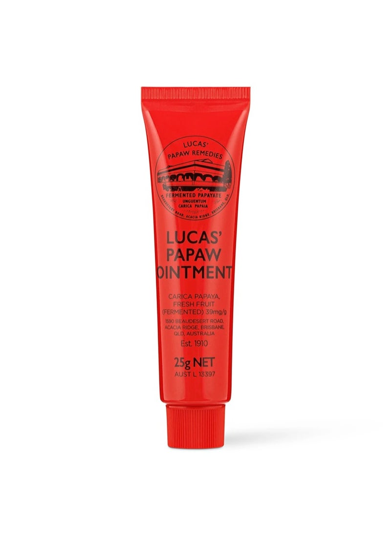 LUCAS' PAPAW REMEDIES Lucas pawpaw ointment 25g  - Image 1