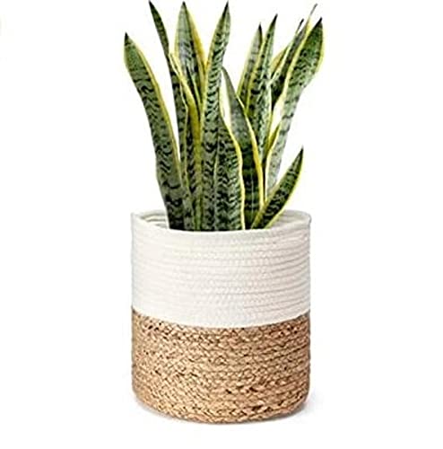 Giya Rugs Premium Jute with Cotton Rope Plant Basket| Woven Indoor Planter Storage Organizer for Decorative Floor Flower Pot|Closet Storage Bin Table Desk Basket for Modern Home Decoration (11 Inches)  - Image 3