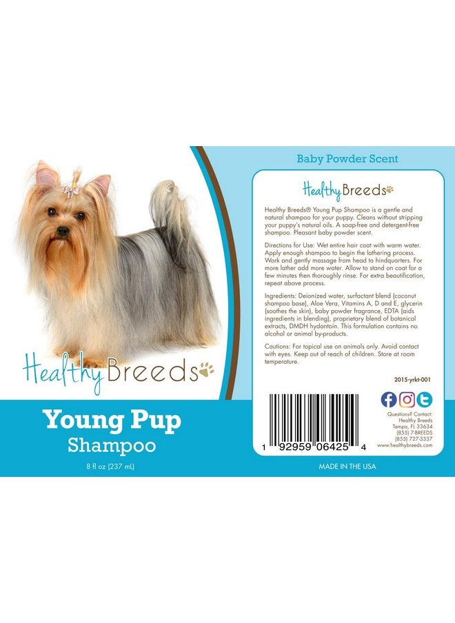 هيلثي بريدز - شامبو Healthy Breeds Yorkshire Terrier Young Pup سعة 8 أونصة - Image 1