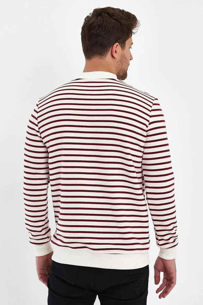 Alexander Gardi Alexandergardı Crew Neck Striped SWEATSHIRT(E23-761A-ERK)