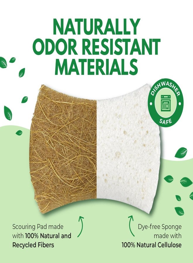 AIRNEX Biodegradable Natural Dish Sponges - Coconut and Cellulose - Eco Friendly Non-Scratch Heavy Duty Dish Scrubber - Pack of 12 - Image 4