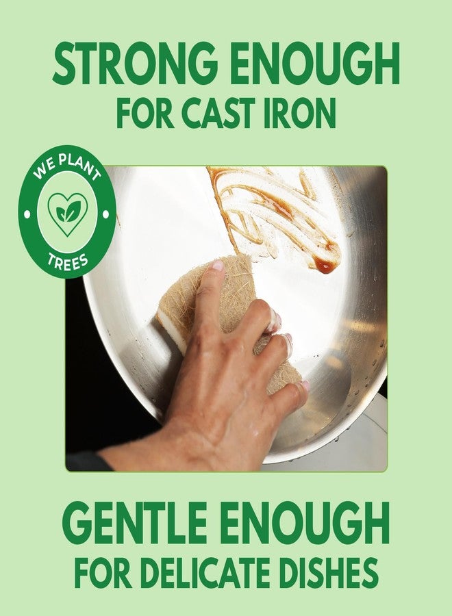 AIRNEX Biodegradable Natural Dish Sponges - Coconut and Cellulose - Eco Friendly Non-Scratch Heavy Duty Dish Scrubber - Pack of 12 - Image 3