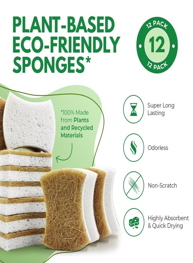 AIRNEX Biodegradable Natural Dish Sponges - Coconut and Cellulose - Eco Friendly Non-Scratch Heavy Duty Dish Scrubber - Pack of 12 - Image 2