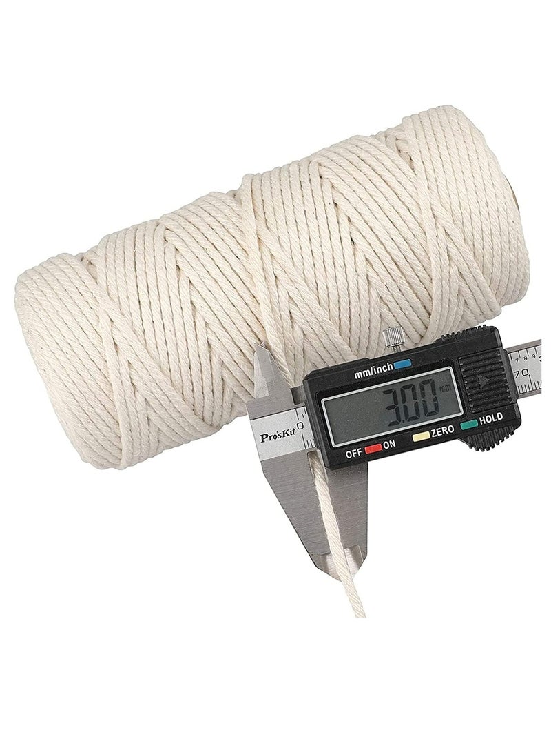 بريميفي حبل من القطن الأبيض بطول 3 مم، حبل قطني طويل متين طبيعي (3 مم × 100 متر) - Image 2