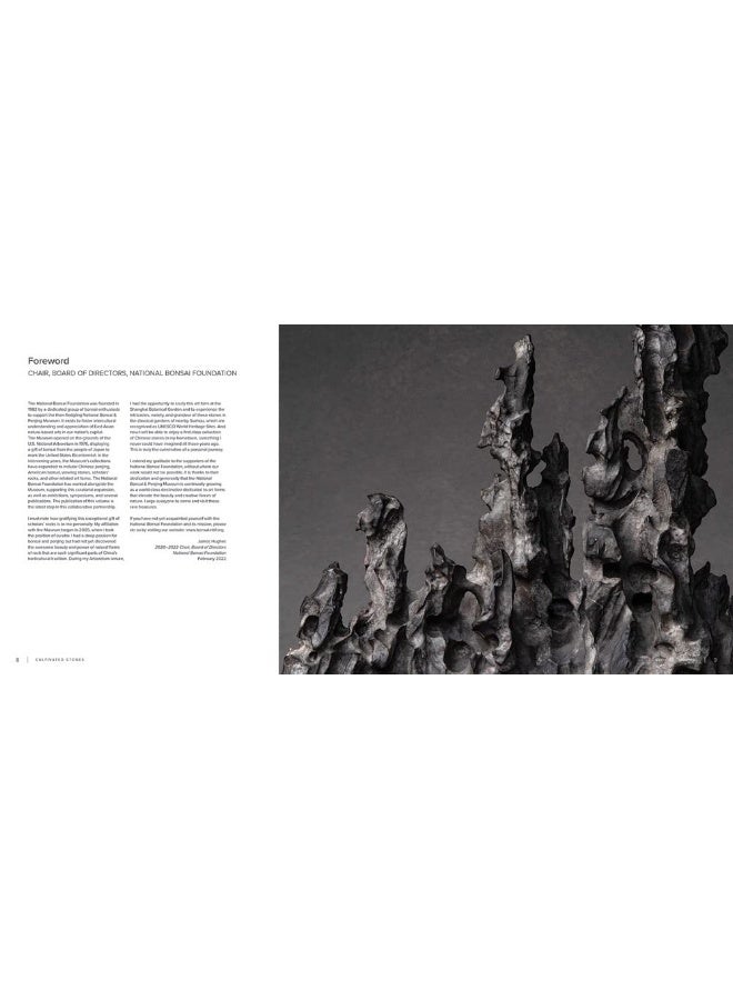 Cultivated Stones: Chinese Scholars' Rocks from th  - Image 3