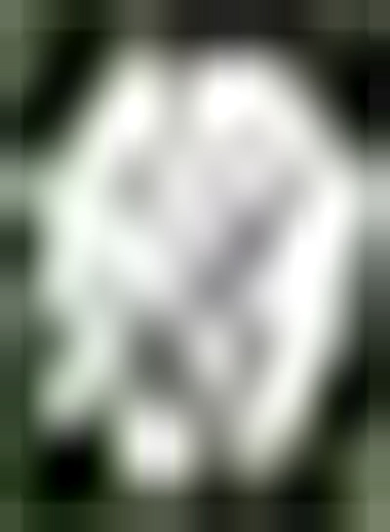 GGOOT 3pcs White Lycoris Seeds Lycoris Radiata Cut Flower Bouquet Vase Outdoor Living Ornamental Decoration Garden Flower Seeds for Planting Now - Image 2