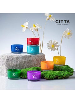 CITTA Bloom Of Scent Summer Factor Storms Diffuser Set  - Image 1