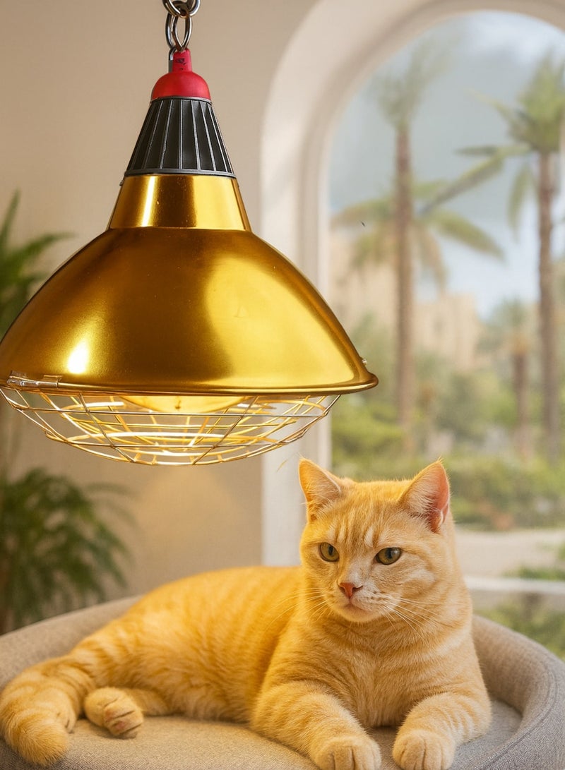 Pet Heater & Poultry Heat Lamp with Metal Reflector – 2m Hanging Chain & Safety Mesh Guard | Brooder Heating Lamp for Chicks, Puppies, Kittens, Birds & Reptiles - Image 2