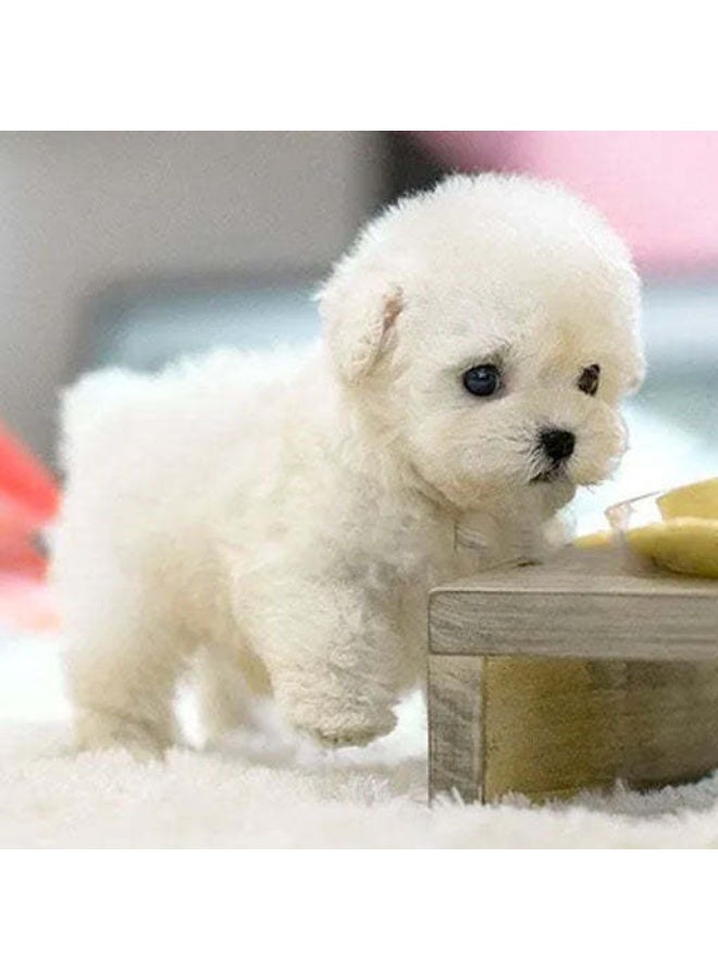 Second Generation Robot Dog, Robot Puppy That Acts Like a Real Dog, Robot Puppy Nico , Electronic Interactive Stuffed Dogs for Sitting, Barking, Walking and Running（White） - Image 2