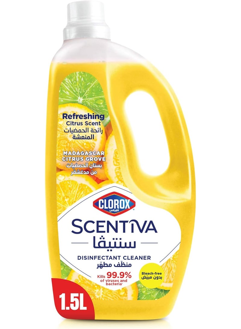 Clorox Scentiva Multipurpose Disinfectant Floor Cleaner Madagascar Citrus Grove 1.5L - Image 1