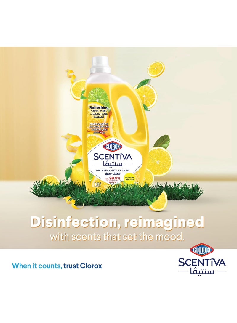 Clorox Scentiva Multipurpose Disinfectant Floor Cleaner Madagascar Citrus Grove 1.5L - Image 3