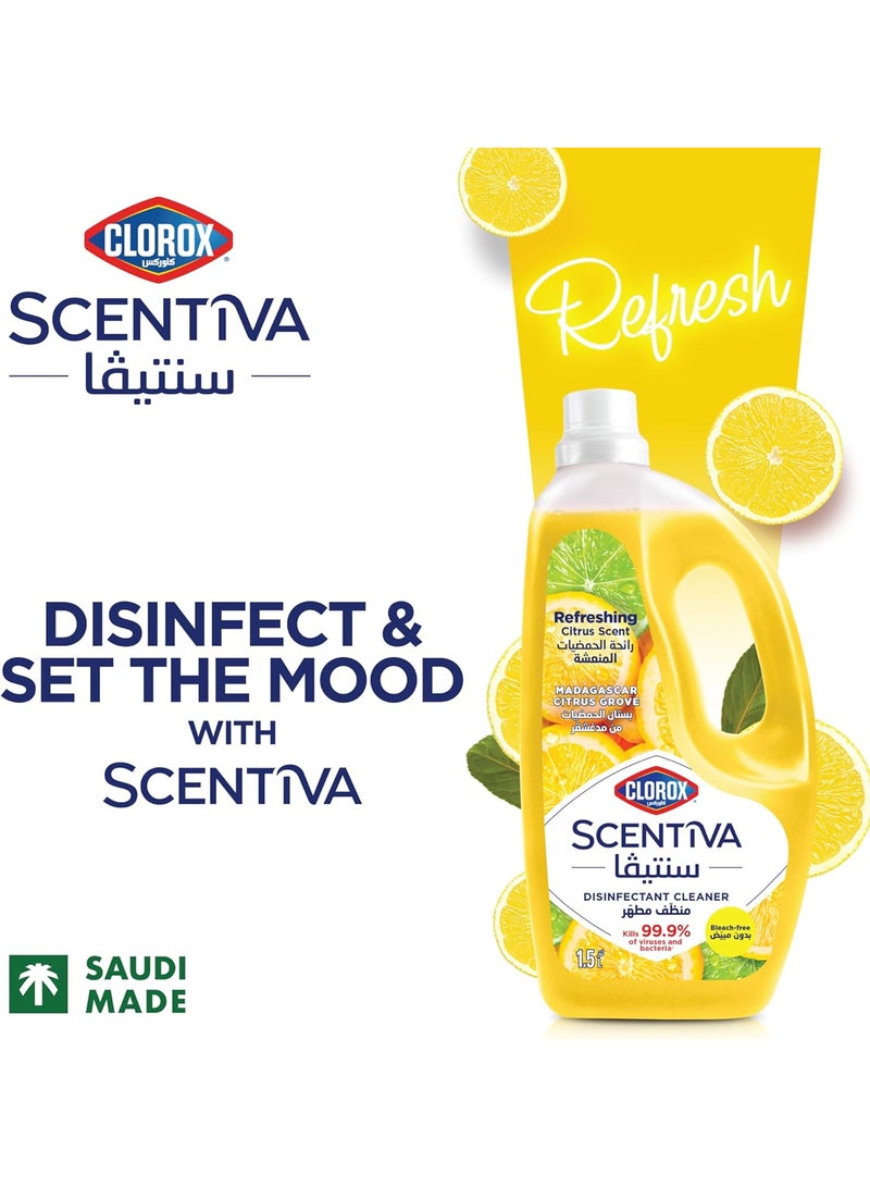 Clorox Scentiva Multipurpose Disinfectant Floor Cleaner Madagascar Citrus Grove 1.5L - Image 2