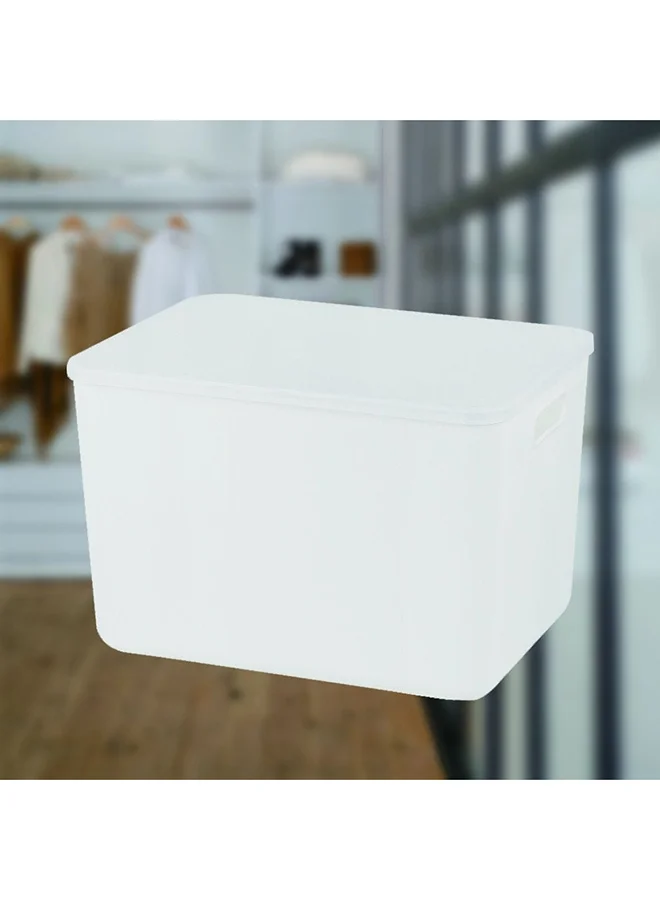 DANUBE HOME Magnus Clear Plastic Organizer For Storing Clothes, Toys, Tools, Medicine, Office Kitchen Supplies Documents Arts And Crafts With Lid 36.5X26.5X24.5Cm White