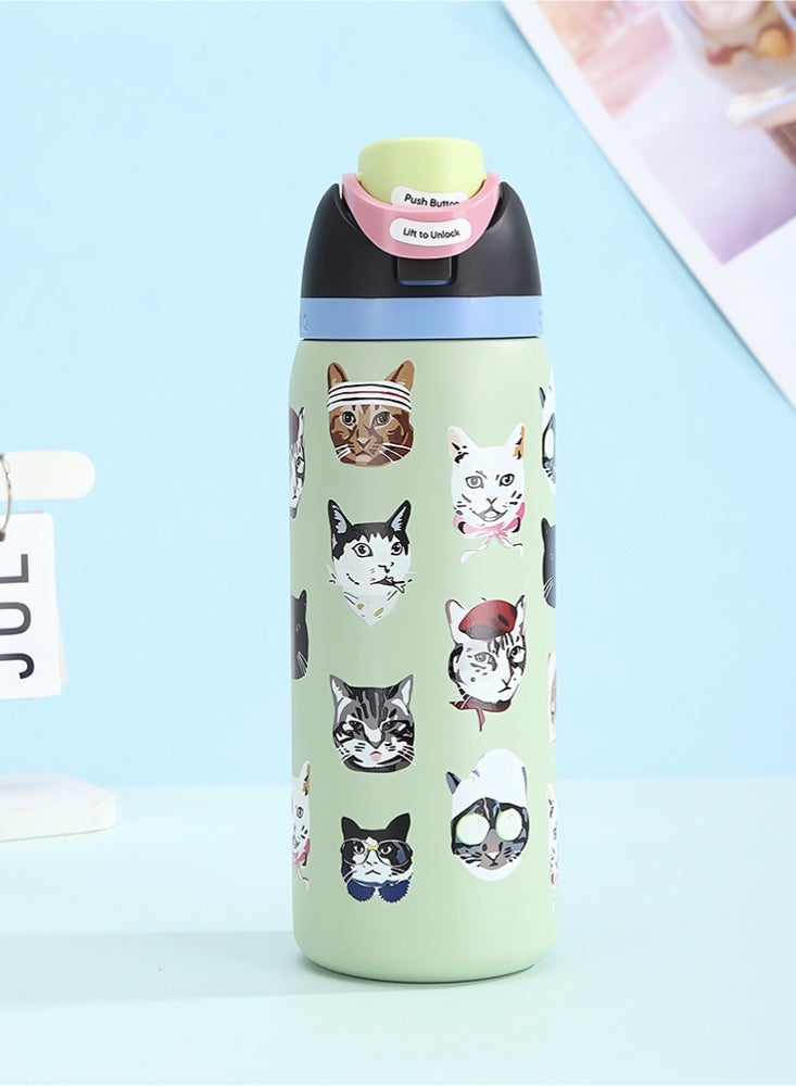Insulated Stainless Steel Water Bottle With Straw For Sports Travel And School BPA Free Sports Water Bottle(Cat 32OZ) - Image 1
