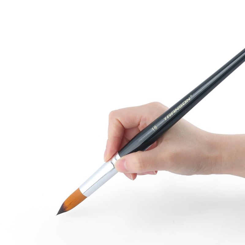 Transon 11pcs Round Paint Brush Basic Set for Watercolor, Acrylic, Gouache, Ink, and Tempera Painting - Image 4