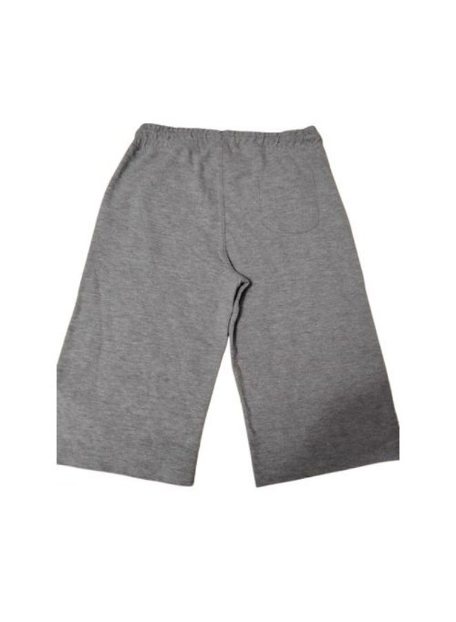 بولو US Polo Association US Polo Shorts For Boys - Image 3