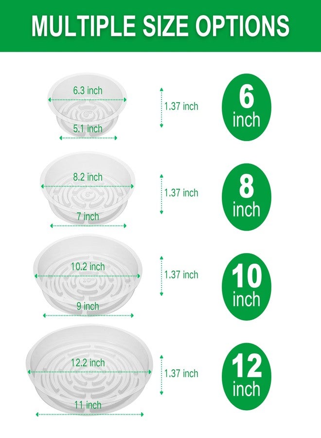 CATIFLIN 24 Pack Clear Plant Saucers - 6, 8, 10, 12 Inch Plastic Plant Trays for Pots, Flower Pot Saucers, Indoor & Outdoor Planter Drip Tray for Water Drainage & Protection - Image 3