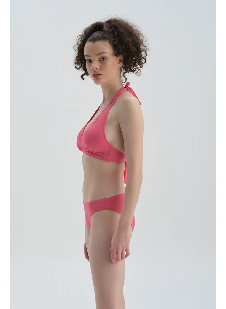 dagi Fuchsia Normal Waist Bikini Bottom