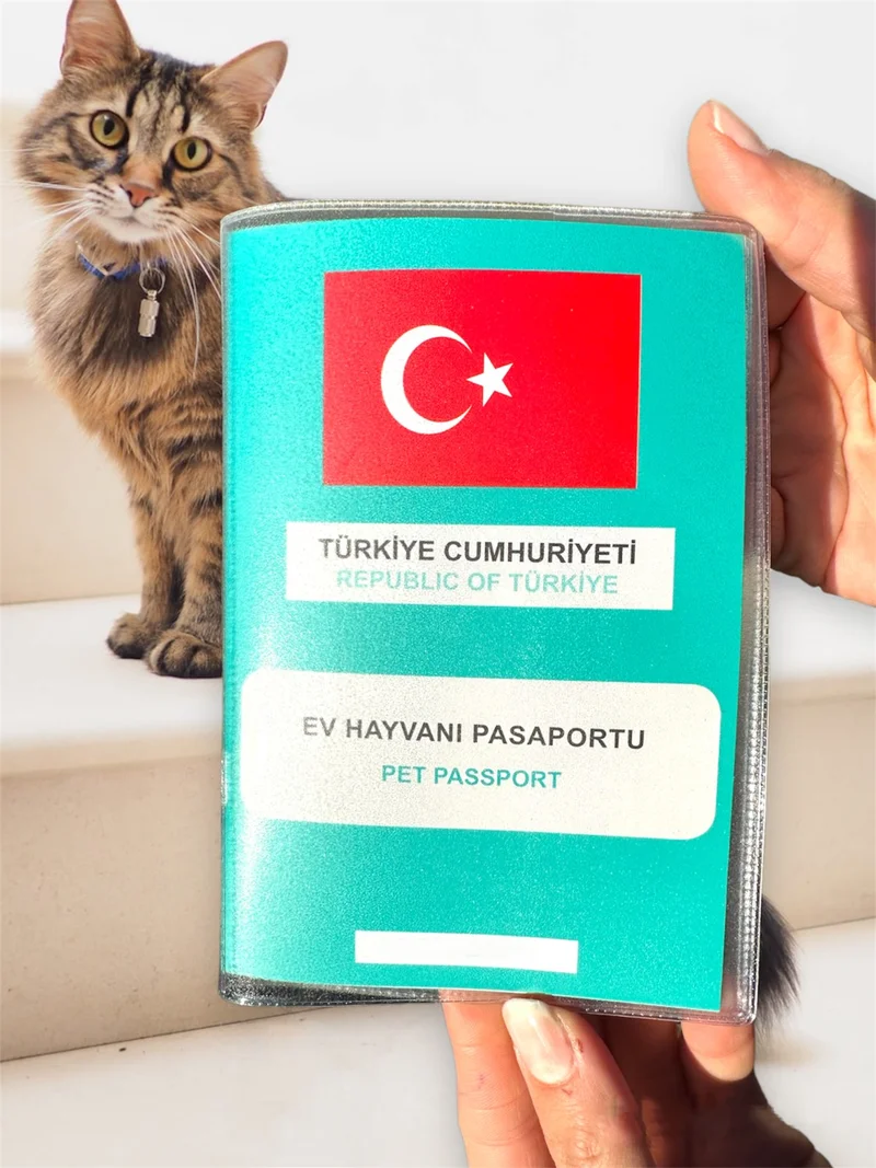 جيمبو Transparent Pet Passport Container Case Waterproof Pet Passport Case