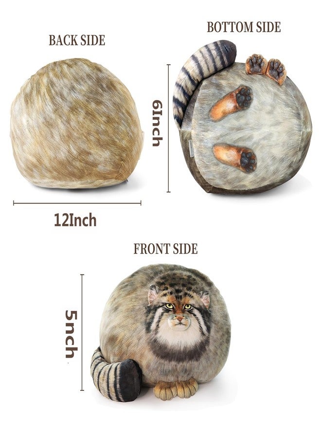 Sew Butiful Steppe Cat Plush 30cm/12inch Pallas Cat Stuffed Animal, Cute Plushies for Girls, Soft Plush Pillow, Throw Pillow Doll Decoration Doll Birthday Gift for Kids Boys Party - Image 3