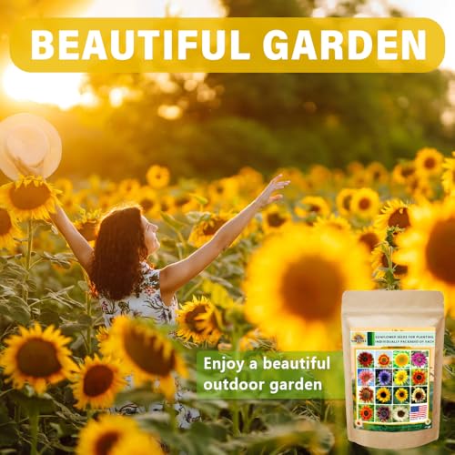 Ficoszo 1000+ Sunflower Seeds for Planting Heirloom Non-GMO, Bulk Package of 15 Varieties Mix Seeds, Individually Packaged, Attracts Pollinators (Helianthus annuus) - Image 5