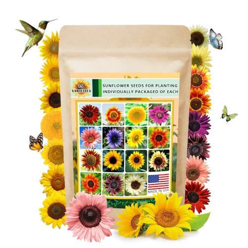 Ficoszo 1000+ Sunflower Seeds for Planting Heirloom Non-GMO, Bulk Package of 15 Varieties Mix Seeds, Individually Packaged, Attracts Pollinators (Helianthus annuus) - Image 1