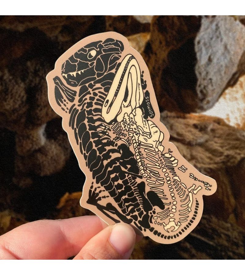 1pc Triassic Fossils Stickers For Laptops Phones Notebooks Water Bottles - Image 1