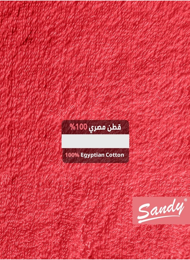 ساندي ساندي منشفة يد فاخرة بجودة الفنادق مصنوعة من القطن بنسبة 100% مصنوعة في مصر - 600 غرام لكل متر مربع، ناعمة وسريعة الجفاف وعالية الامتصاص (4 قطع - 40 × 70 سم) - رماني  - Image 4