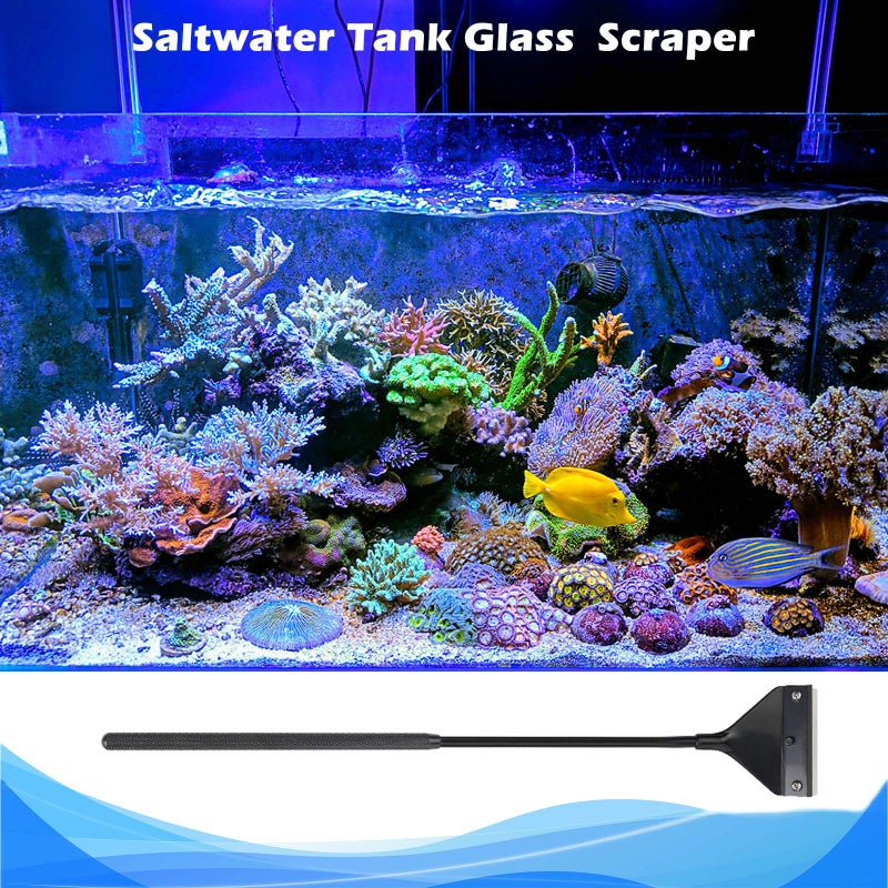 Pronetcus Algae Scraper for Glass Aquariums, Fish Tank Cleaner, Aquarium Algae Scrapers with 10 Stainless Steel Blades. - Image 3