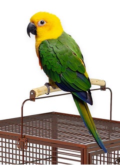 Midwest Avian Adventures Poquito Hotel Bird Cage With Accessories 18X17X14Inch  - Image 3