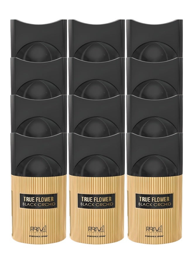 برايف 12 قطع بخاخ معطر برائحة زهرة الأوركيد السوداء الحقيقية 250 مل  - Image 1