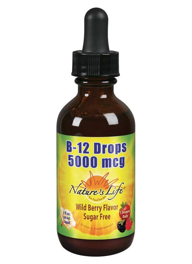 Nature's Life B12 Drops Methlycobalamin 4 Oz 2 Fl Oz Pack Of 1  - Image 1