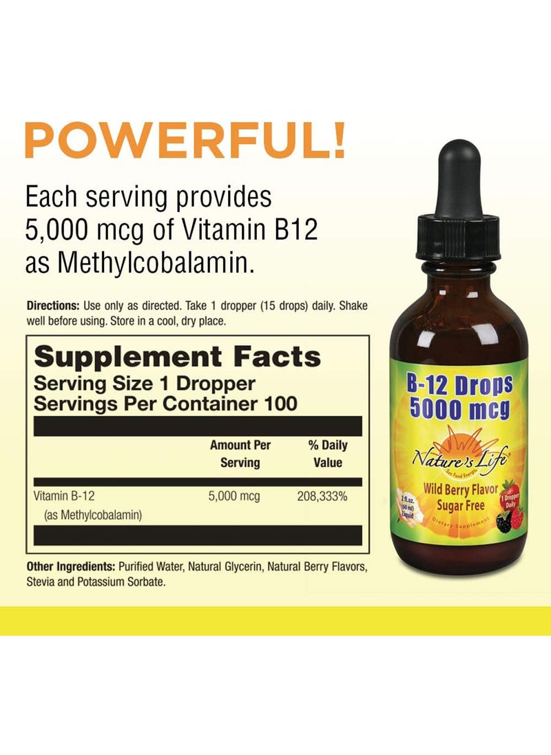 Nature's Life B12 Drops Methlycobalamin 4 Oz 2 Fl Oz Pack Of 1  - Image 2