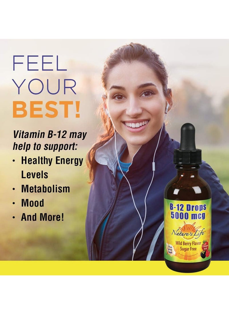 Nature's Life B12 Drops Methlycobalamin 4 Oz 2 Fl Oz Pack Of 1  - Image 3