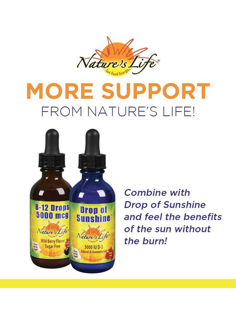 Nature's Life B12 Drops Methlycobalamin 4 Oz 2 Fl Oz Pack Of 1  - Image 5